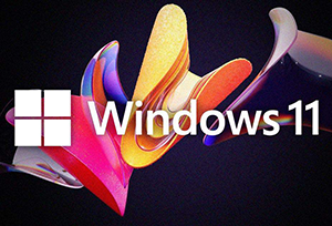 小修 Windows 11 Pro 22631.4169 轻度精简版 二合一-155笔记