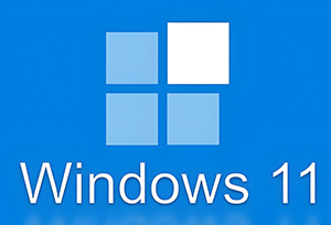 小修 Windows 11 Pro 22000.3260 轻度精简版 传统IE V7-155笔记