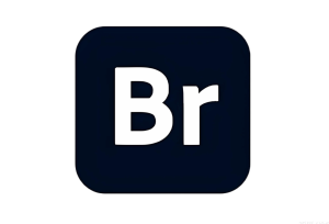 Adobe Bridge 2026 v16.0.1.18 数字资产管理软件-155笔记