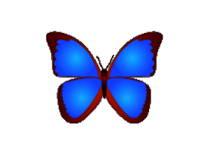 bkViewer 数码照片浏览器 v8.3.0.0 小巧精悍-155笔记