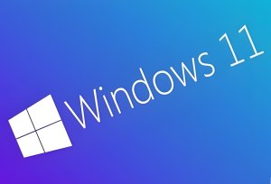小修 Windows 11 Pro 22631.4169 轻度精简版 1.70G-155笔记