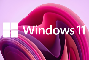 小修 Windows 11 Pro 22631.6495 稳定精简 极限版-155笔记