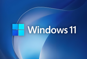 小修 Win 11 25H2 Pro 26200.7628 稳定极限 精简版-155笔记