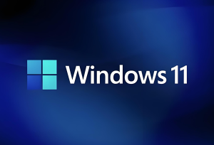 小修 Win 11 25H2 Pro 26200.7628 轻度精简版 二合一-155笔记