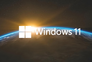 小修 Windows 11 Pro 22631.6495 轻度精简版-155笔记