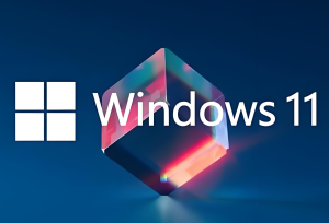 小修 Windows 11 Pro 22631.6345 稳定精简 极限版-155笔记