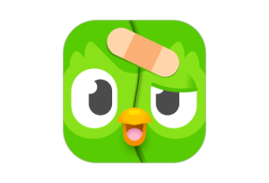 多邻国 v6.68.3 Duolingo语言 解锁高级版-155笔记